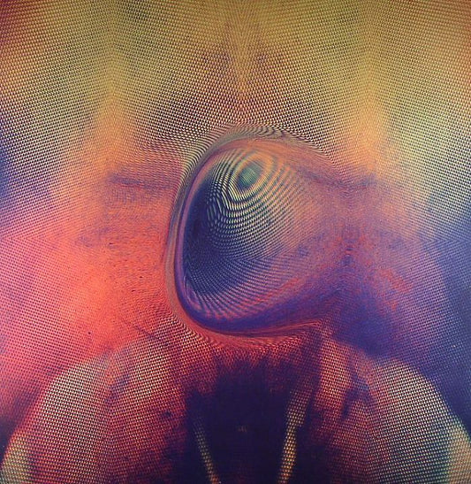 YOUNG MAGIC - MELT [LP]