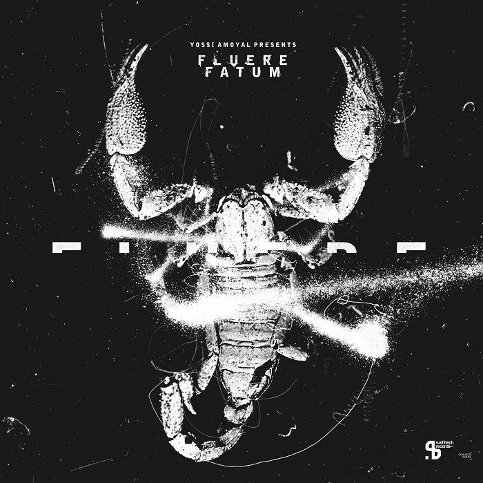 KILLER LOOP (JUAN ATKINS MIX) / TERRY BROOKES / MSL - Yossi Amoyal Presents Fluere Fatum