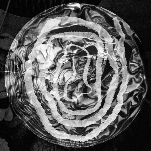 Yssue - Naturalist EP [printed sleeve / incl dl code]