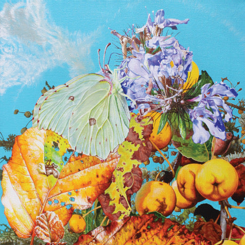 Bennett Wilson Poole - I Saw A Star Behind Your Eyes, Don’t Let It Die Away [CD]