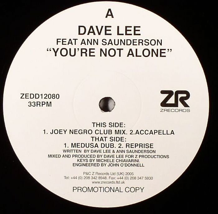 DAVE LEE FT ANN SAUNDERSON - YOURE NOT ALONE