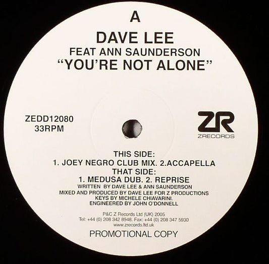 DAVE LEE FT ANN SAUNDERSON - YOURE NOT ALONE