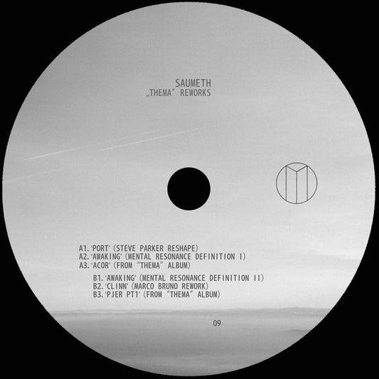 Various Artists - Thema Reworks