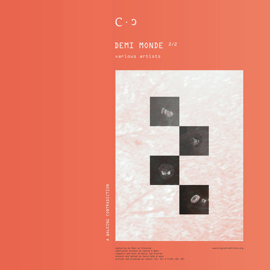 Various Artists - Demi Monde 2/2