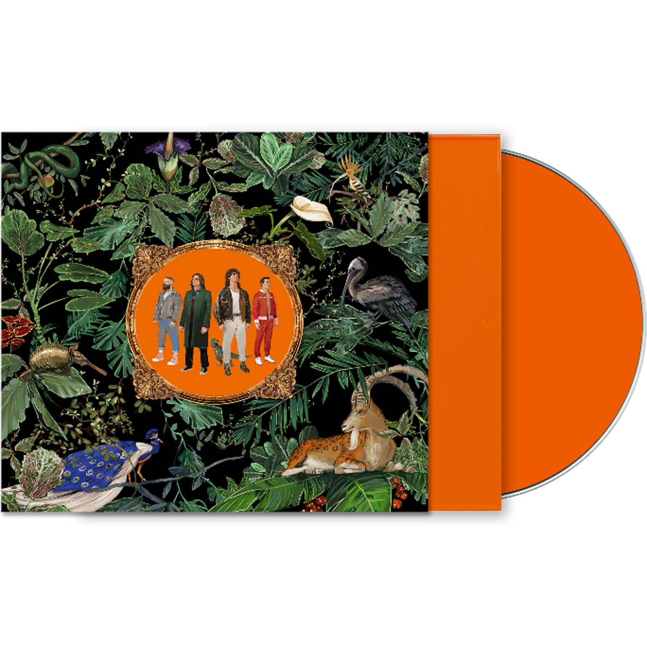 Don Broco - Amazing Things [Orange CD in slipcase]