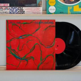 L’ECLAIR - CONFUSIONS