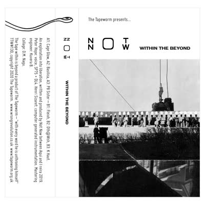 Not Now - Within The Beyond