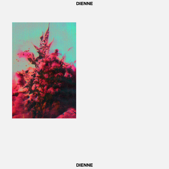 Dienne - Addio (LP)