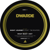 DWARDE - What Must I Do? (green marbled vinyl 12" + sticker + MP3 download code)