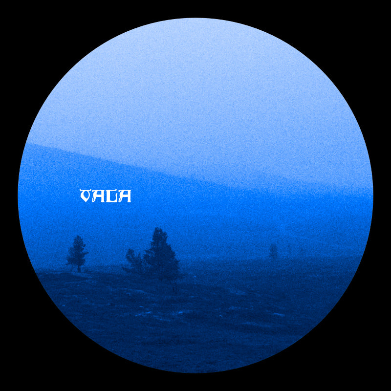 Kaspiann, Multicast Dynamics - VALA 1