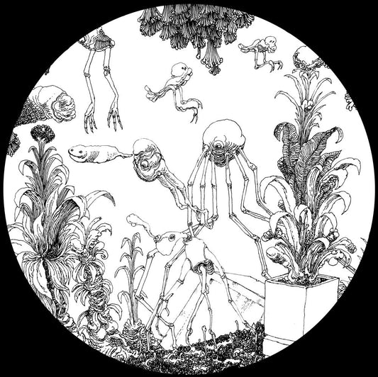 Poly Chain - Dogtooth EP