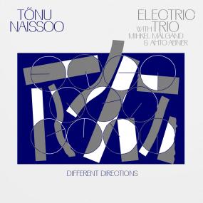 TONU NAISSOO ELECTRIC TRIO - DIFFERENT DIRECTIONS [LP]
