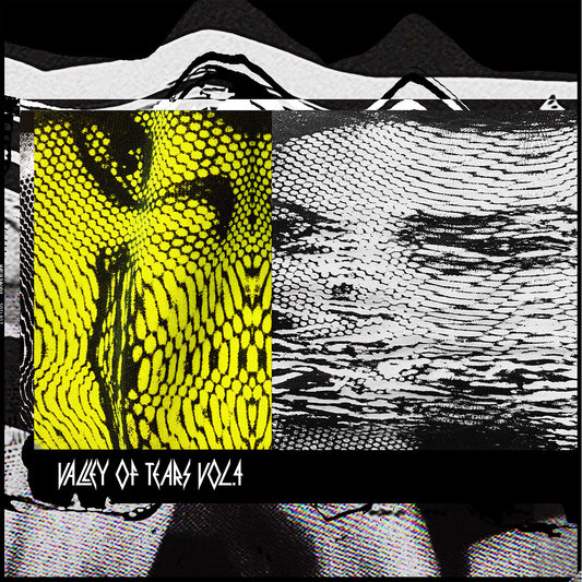 VARIOUS ARTISTS - VALLEY OF TEARS VOL. 4