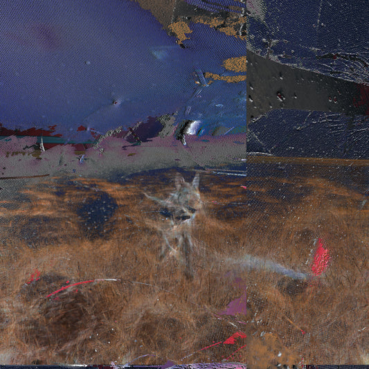 WALTON - MAISIE BY THE SEA