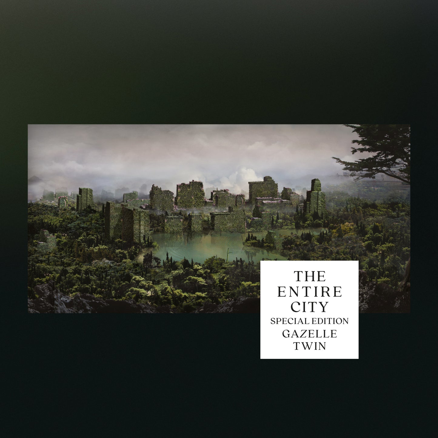 Gazelle Twin - The Entire City (Special Edition) [Silver Grey LP]