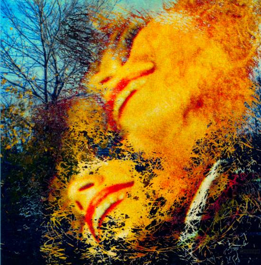 BREATHLESS - SEE THOSE COLOURS FLY [CD]