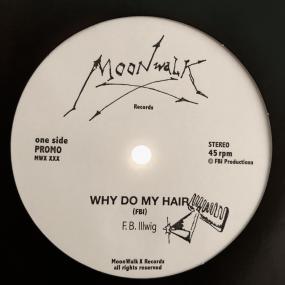 F.B. ILLWIG - WHY DO MY HAIR