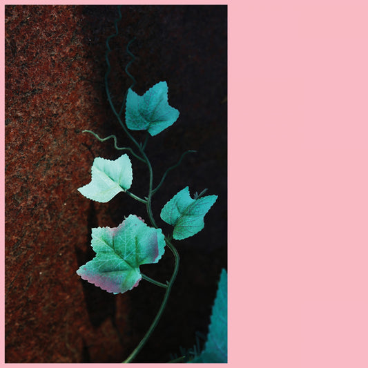 Jabu + Daniela Dyson - Jabu + Daniela Dyson