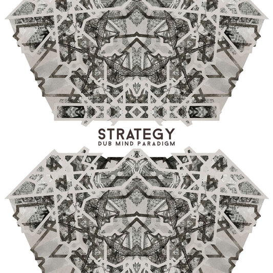 STRATEGY - Dub Mind Paradigm LP