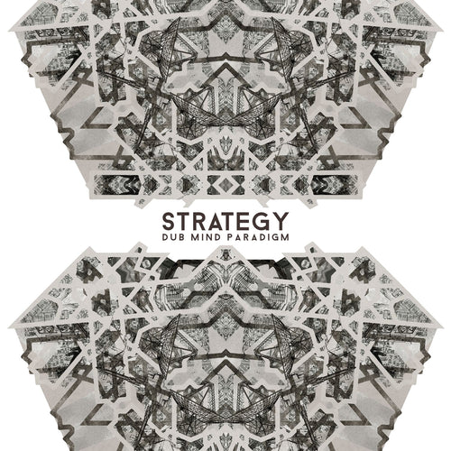 STRATEGY - Dub Mind Paradigm LP
