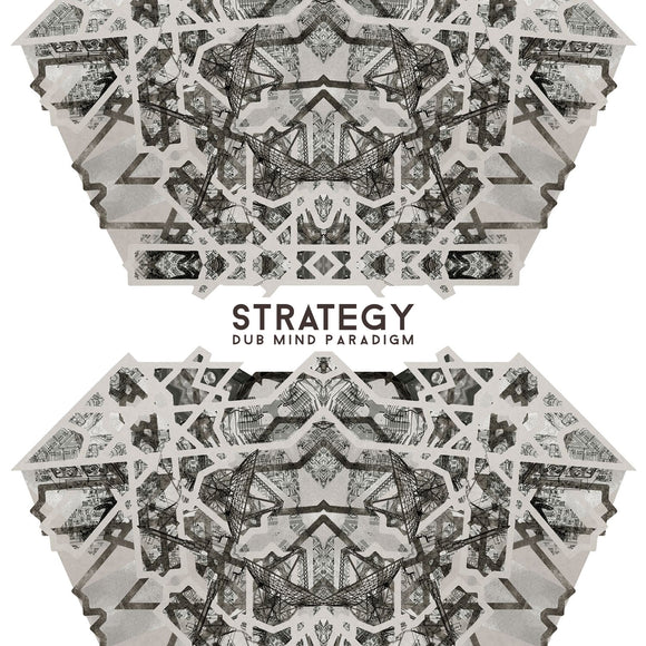 STRATEGY - Dub Mind Paradigm LP