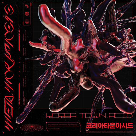 Korea Town Acid – Metamorphosis