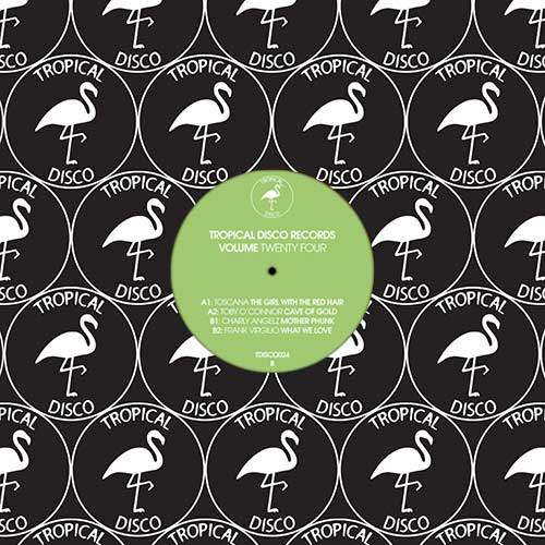 Various Artists - Tropical Disco Records Vol. 24