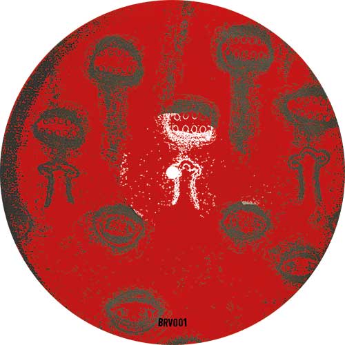 Wheats - G.T.N / N Night