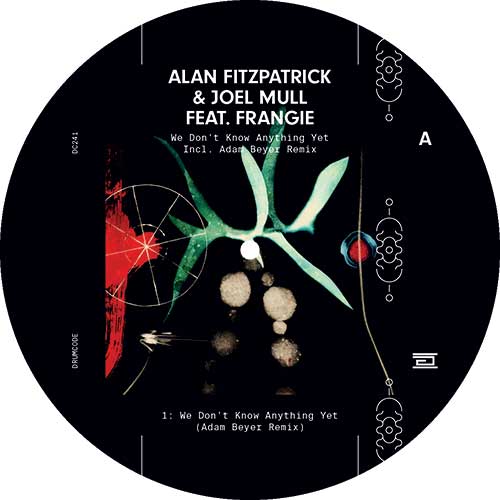 Alan Fitzpatrick / Joel Mull Feat. Frangie - We Don't Know Anything Yet