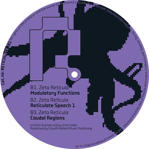 Zeta Reticula - Ascending Pathways EP