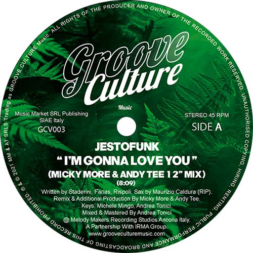 Jestofunk - I’m Gonna Love You / Special Love (Micky More & Andy Tee 12 Inch Remixes)