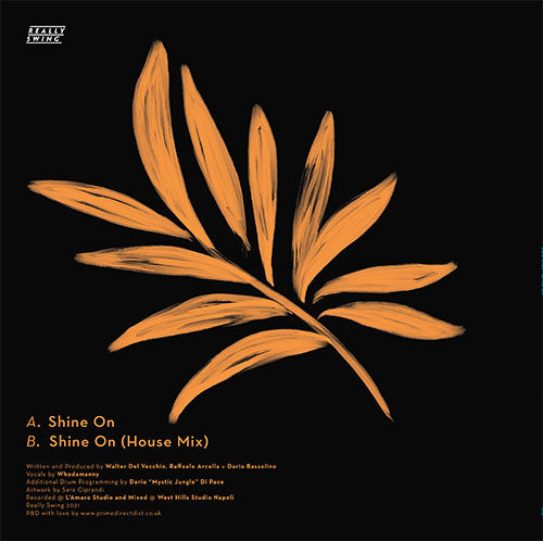 Baia Club - Shine On