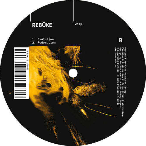 Rebuke - Wasp