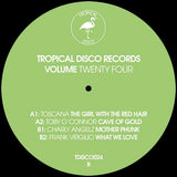 Various Artists - Tropical Disco Records Vol. 24