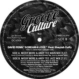 David Penn Featuring Sheylah Cuffy - Scream 4 Love (Micky More & Andy Tee Remixes)