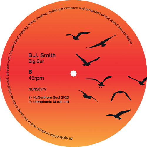 B.J. Smith - Marina Del Rey & Big Sur