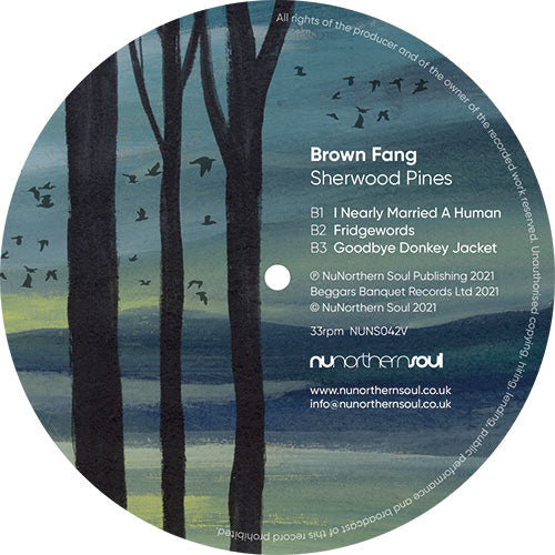 Brown Fang - Sherwood Pines