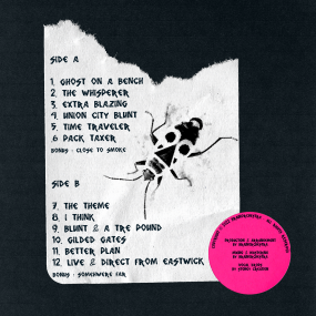 BRAINORCHESTRA - LIVE AND DIRECT