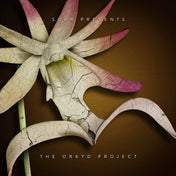 The Orkyd Project LP (Metalheadz vinyl)