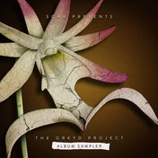 The Orkyd Project Sampler (Metalheadz vinyl)