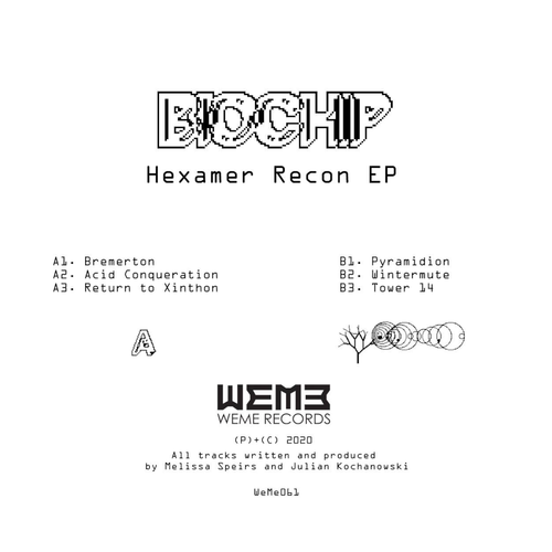 Biochip - Hexamer Recon EP