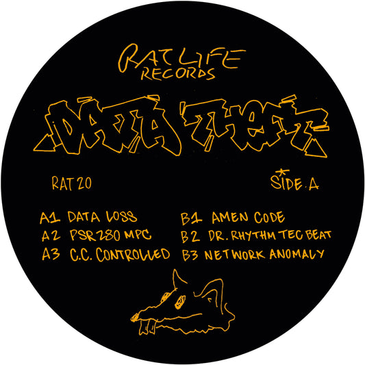Data Theft - Data Theft