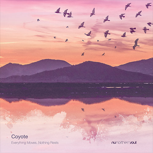 Coyote - Everything Moves, Nothing Rests