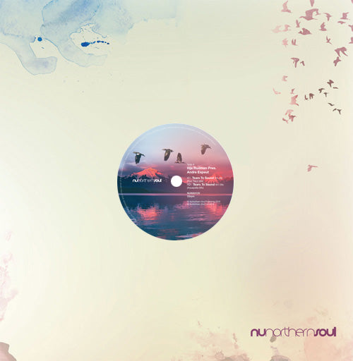 Ilija Rudman - Tears To Sound