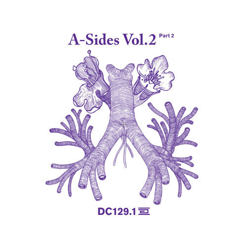 VARIOUS ARTISTS - A SIDES VOLUME II PT2
