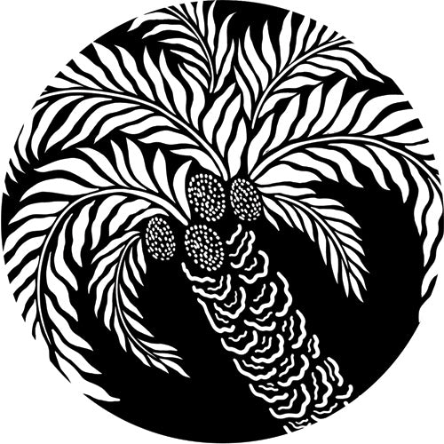 CLOSED PARADISE - SECRETS