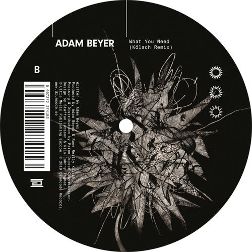 Adam BEYER - What You Need