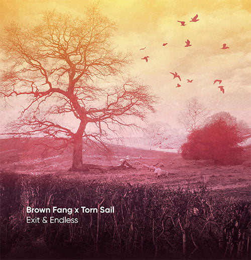 Brown Fang x Torn Sail - Exit & Endless