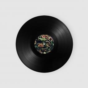 SAMPOLOGY - REGROWTH