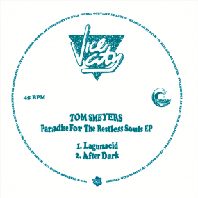 TOM SMEYERS - PARADISE FOR THE RESTLESS SOULS